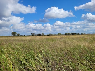 County Road 611, Gustine, TX 76455