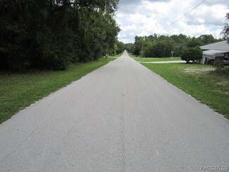 124 N Fitzpatrick Ave, Inverness, FL 34453