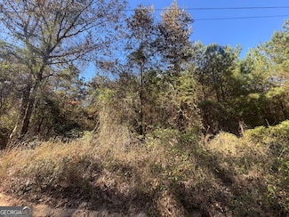 0 Giles Rd, Fort Valley, GA 31030