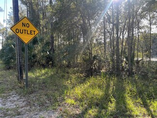 0 Forsythe Rd Unit MFRO6275775, Lake Helen, FL 32744