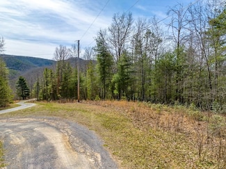 5 N Sunset Ln, Bland, VA 24315