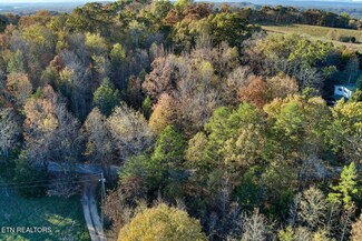923 Morrison Rd, Decatur, TN 37322