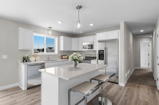 1179 Cubasue Ct, Shakopee, MN 55379