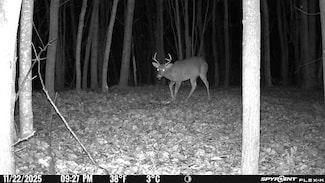 4100 Long Lake Rd, Cheboygan, MI 49721