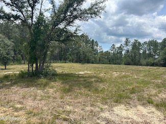 01 Mississippi 603, Kiln, MS 39556