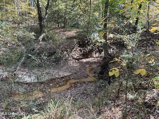 0 Shillings Hill Rd Unit 4098115, Roxie, MS 39661