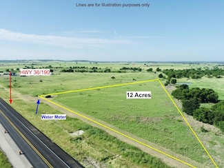 TBD Hwy 36 Hwy, Rogers, TX 76569