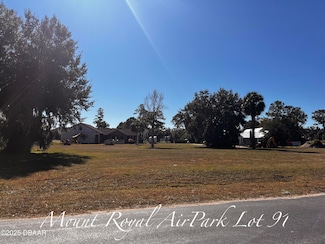 Lot 91 Lindsay Ln, Crescent City, FL 32112