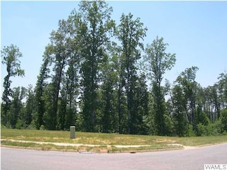 1405 Diamond Point Cir Unit 54, Tuscaloosa, AL 35406