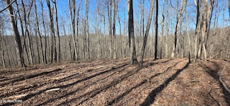 0 Oak Place Unit 1293099, Monterey, TN 38574