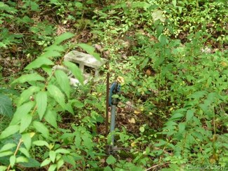 0 Stoney Fork Rd, Barnardsville, NC 28709
