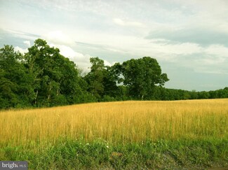 0 New Hope Rd Unit 1001322359, Cross Junction, VA 22625