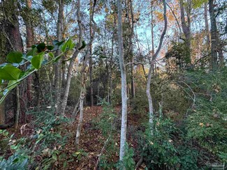 Gonzalez Park Dr, Pensacola, FL 32533