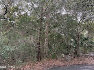 20 Cedar Ct, Bald Head Island, NC 28461