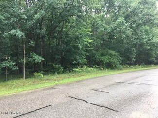 8478 Highland Trail, Canadian Lakes, MI 49346