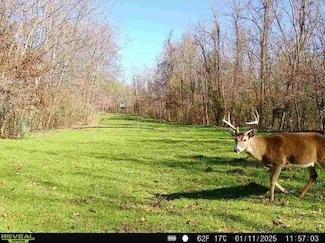 0 Shalfer Rd, Port Gibson, MS 39150
