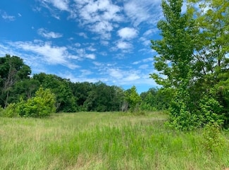 0 Tillman Rd, Port Gibson, MS 39150