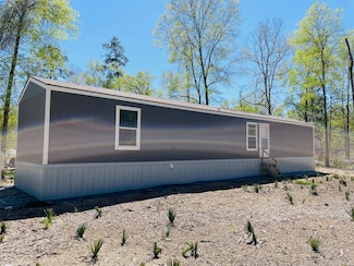 30 Hellon Ln, Shepherd, TX 77371