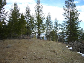 0 159 4 Acres Ridge Rd, Yreka, CA 96097