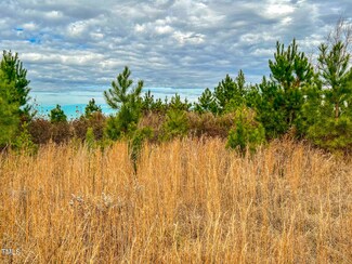 40 Acres Thomas Humphries Rd, Roxboro, NC 27574