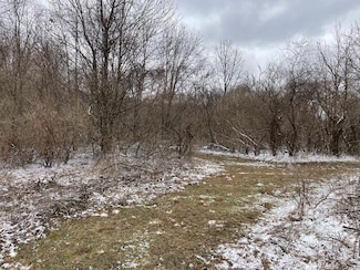 0 130th, Fennville, MI 49408