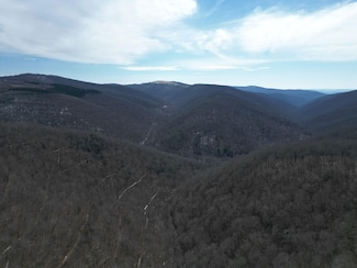 0 Elleber Sods Rd, Bartow, WV 24915