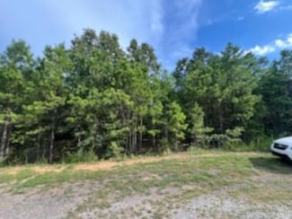 0 Truman Reynolds Rd Unit 25028319, Quitman, AR 72131