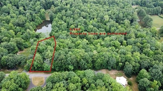 TBD Cabin Village Ln, Hillsville, VA 24343