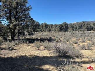 0 Green Leaf Springs Rd, Frazier Park, CA 93225