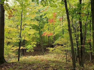 0 Taylor Rd, Forest Township, MI 48746