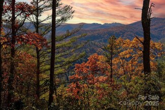 TBD Morgan Dr Unit Tract II, Penrose, NC 28766