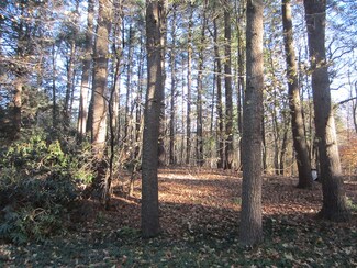 2 Winchelsea Ln, Lincoln, MA 01773