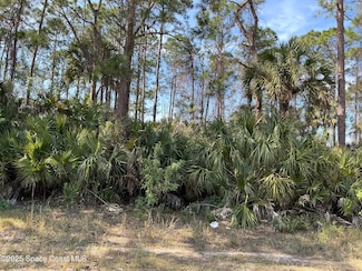 1030 Happiness Ave SW, Palm Bay, FL 32908