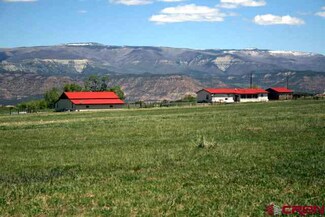 54783 Me Rd, Collbran, CO 81624