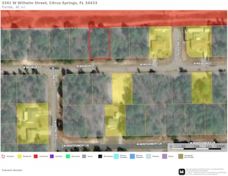 3341 W Wilhelm St, Citrus Springs, FL 34433