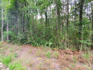 0 2nd Texas Rd, Saint George, SC 29477