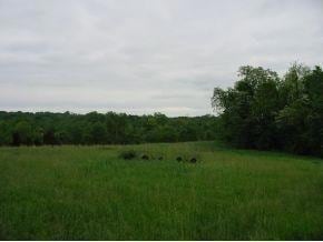 8873 U S 50, Aurora, IN 47001