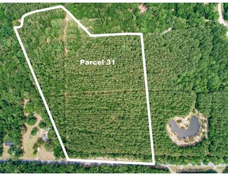 0 Pawlett Blake Ln Unit Parcel 31 18025898, Wadmalaw Island, SC 29487