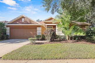 6130 Whimbrelwood Dr, Lithia, FL 33547