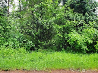 10607 Edgewood Dr Unit lot4&5, Anderson Island, WA 98303