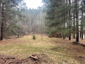 Xxxxx Old 67 Rd, Henning Township, MN 56551