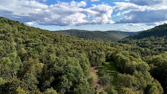 216 Neer Rd, Fremont, NY 12760