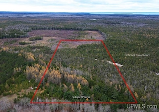 TBD Appleford Rd, Moran, MI 49760