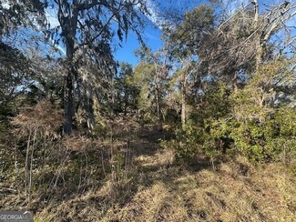 V/L 276 Harbour Island Cir, Waverly, GA 31565