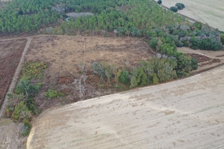 Jowers Rd, Whigham, GA 39897