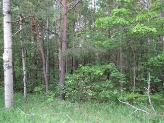 0 S Grayling Rd Unit 10AC 201819082, Roscommon, MI 48653