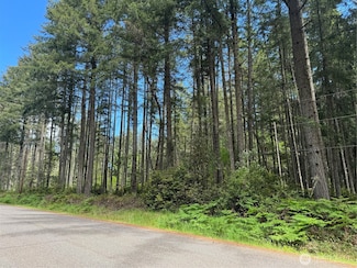 10409 Tahoma Dr, Anderson Island, WA 98303