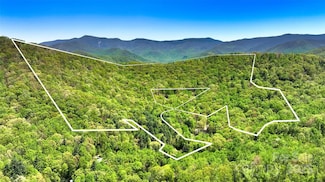99999 Anderson Cove Rd, Barnardsville, NC 28709