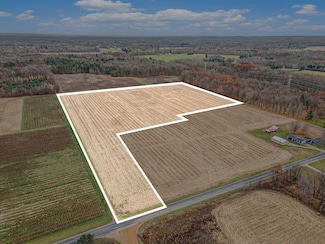 VL 18.68ac County Road 687, Bangor, MI 49013