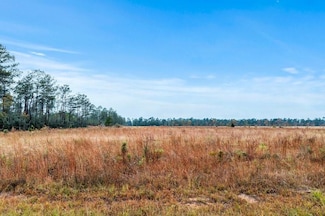 0 McCorquodale Lot 17 Rd Unit SWL21010800, Longville, LA 70652